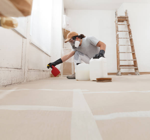 Best Forensic Mold Investigation  in Buena Vista, CO